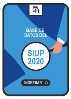 Base de datos - SIUP 2020